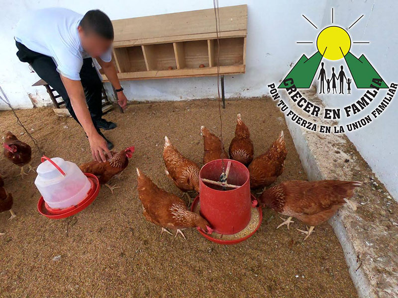 50703057_2151596781559275_3687792064331776_n