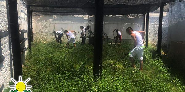 67672365_2429363590449258_193214648613339136_o