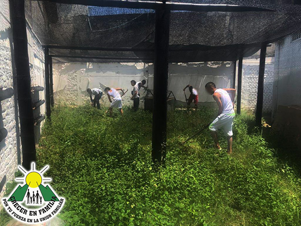 67672365_2429363590449258_193214648613339136_o