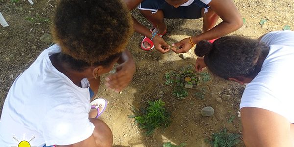 91399081_2961236483928630_3530319729828823040_n