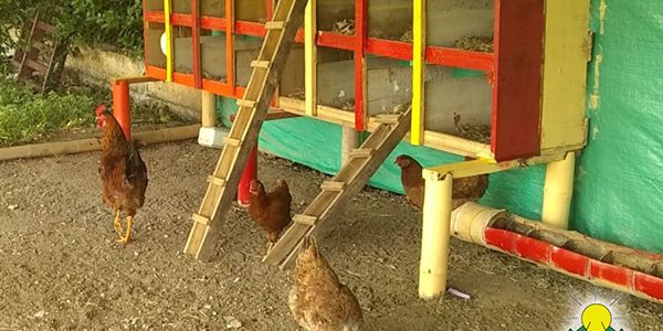 91399081_2961236483928630_3530319729828823040_n