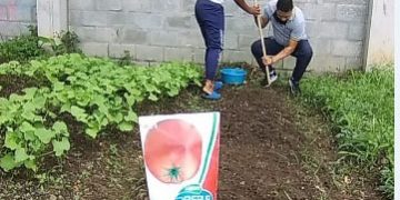 93233776_2994386250613653_419601580216549376_o