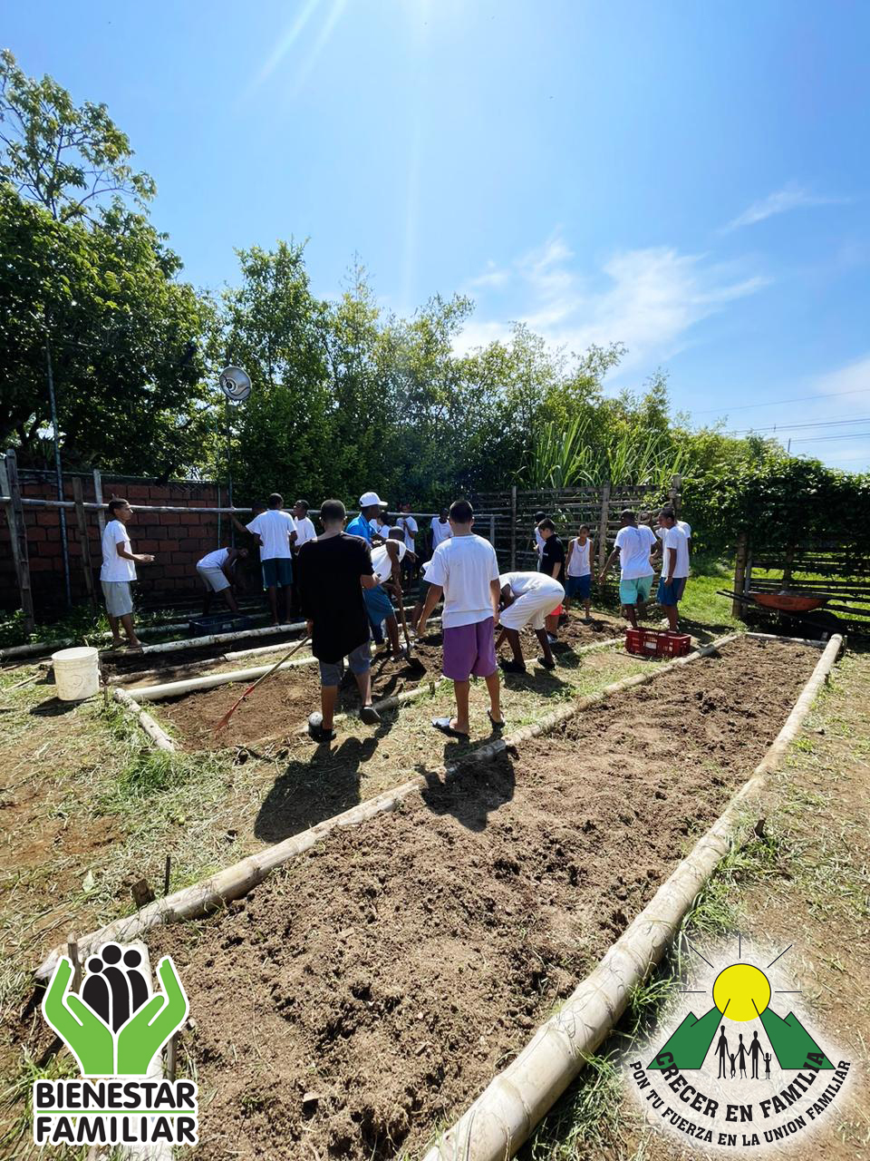 0b49da64-eb3c-4aa8-8e10-fbfed8c7779a (1)