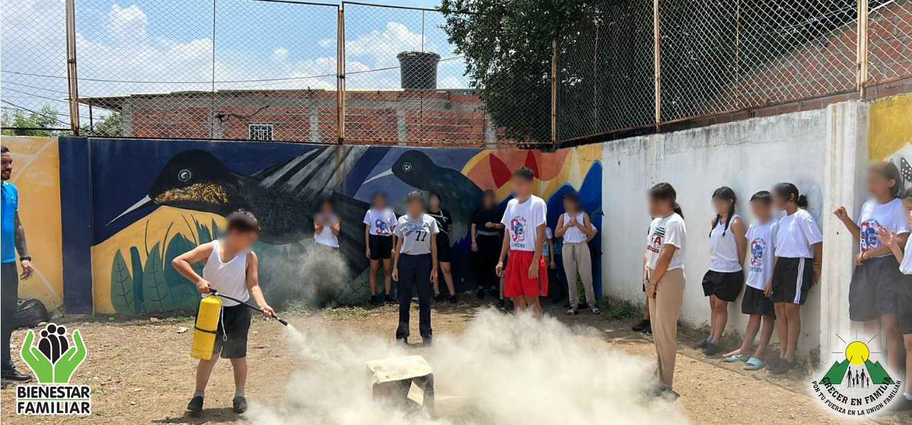 3835db2a-556e-4408-ae39-bc413bd806d2